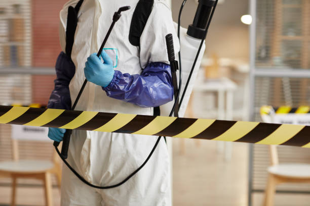 Professional Sewage Cleanup technician working in Black Hawk, CO